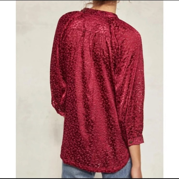 Anthropologie Susanna Burnout Velvet Button Down Blouse - Picture 3 of 12